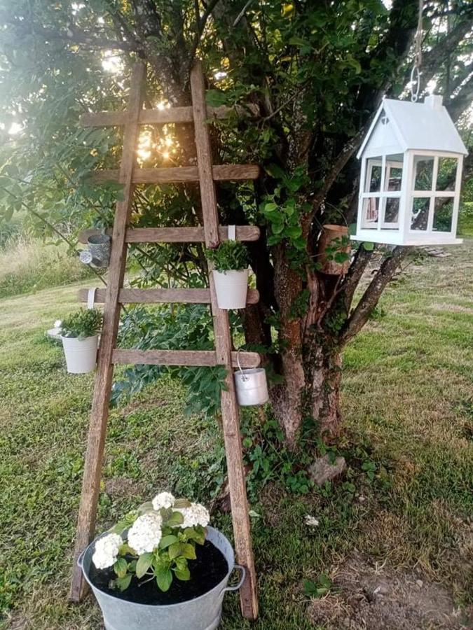 Gite Ferme La Rosee Blanche Laveline Exterior foto