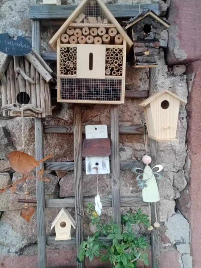 Gite Ferme La Rosee Blanche Laveline Exterior foto